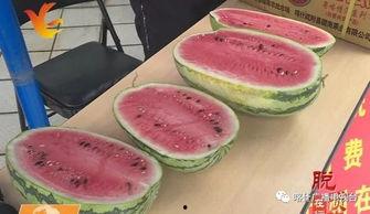 从化吃瓜的图片