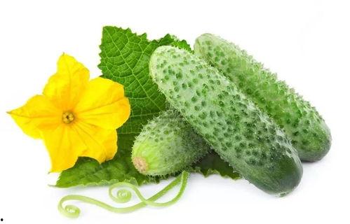 吃瓜系统陆小姑,吃瓜系统中的美食侦探