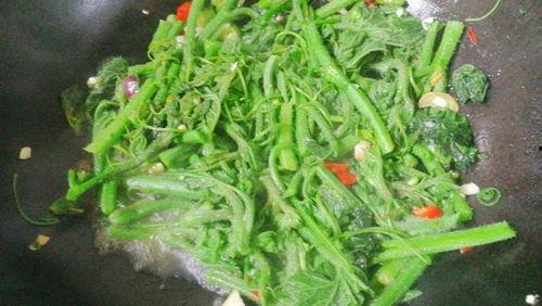 虎耳瓜叶子怎么吃最好,虎耳瓜叶子的美味食用指南