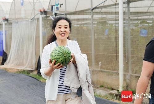 吃瓜陈祎,揭秘娱乐圈背后的故事