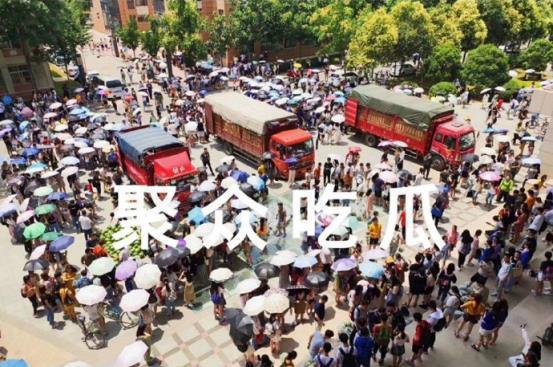 石家庄吃瓜大学,吃瓜大学生的麻辣观察记