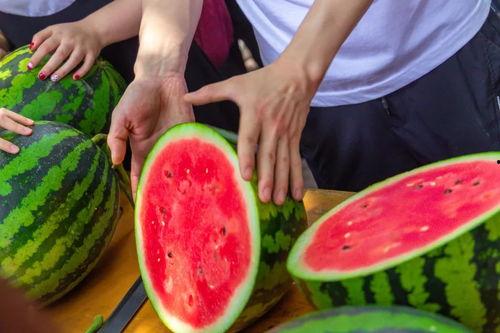 石家庄吃瓜大学,吃瓜大学生的麻辣观察记