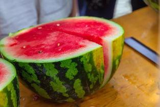 石家庄吃瓜大学,吃瓜大学生的麻辣观察记