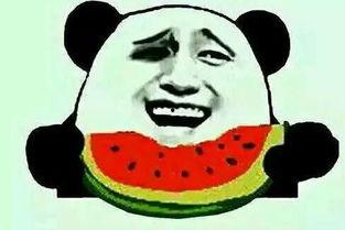 暴走吃瓜结局解析,结局揭秘，真相大白！