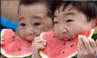 体育吃瓜,那些不为人知的幕后故事