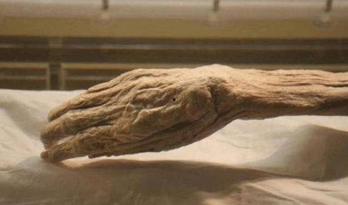 辛追夫人吃瓜视频,揭秘古墓奇闻背后的真实故事