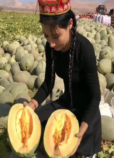 新疆女孩吃瓜图片,女孩品尝甜蜜滋味，共享丰收喜悦