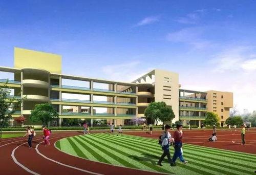 吃师大瓜衡水学院