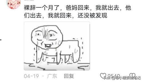 吃瓜网友分享,吃瓜网友带你领略明星幕后故事