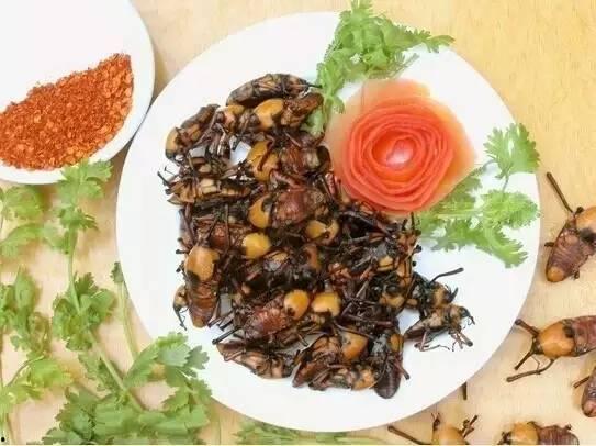 沐川杨川吃瓜,揭秘网络热点的背后故事