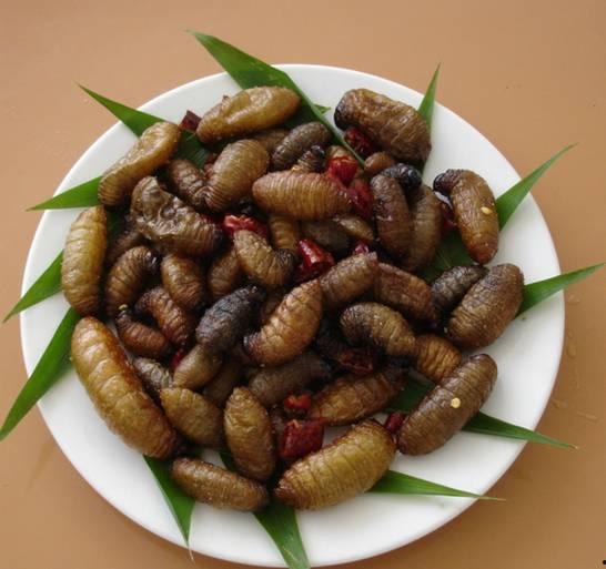 沐川杨川吃瓜,揭秘网络热点的背后故事