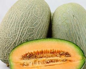 夏天常吃哈密瓜,哈密瓜的甘甜诱惑