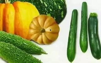 摘瓜吃瓜配乐有哪些歌