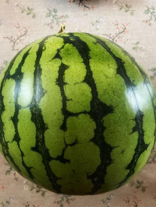 吃瓜表演的视频,一场视觉与味蕾的双重盛宴