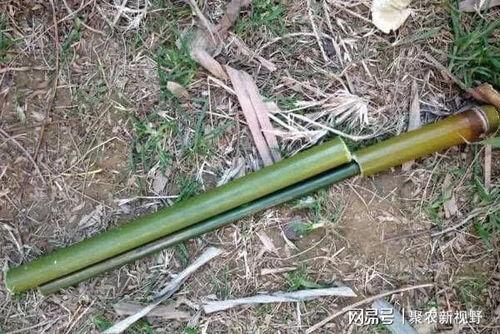 吃瓜神器工兵铲,工兵铲的奇妙变身