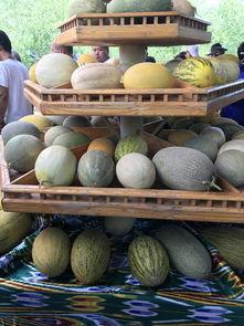 吃瓜观众爱吃瓜,揭秘吃瓜观众的最爱