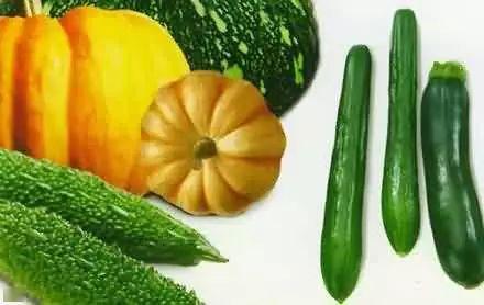 东园里吃瓜,夏日消暑好去处