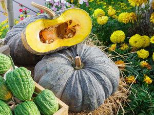 吃瓜被挂墙上,瓜皮飞舞挂墙上引发热议