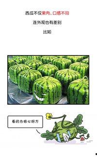 古时候吃瓜群众,古时“吃瓜群众”的趣味生活与社交现象