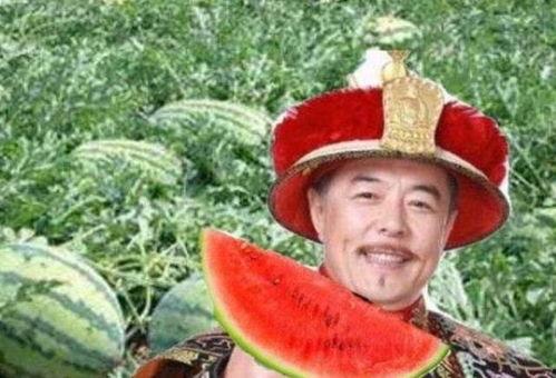 乾隆吃瓜记,吃瓜记里的宫廷趣事