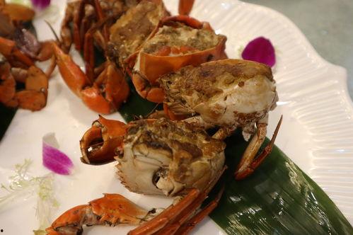 海鲜大餐吃瓜,一场味蕾与视觉的狂欢之旅