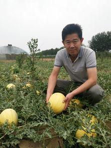 礼拜六吃瓜,揭秘娱乐圈的甜蜜与苦涩