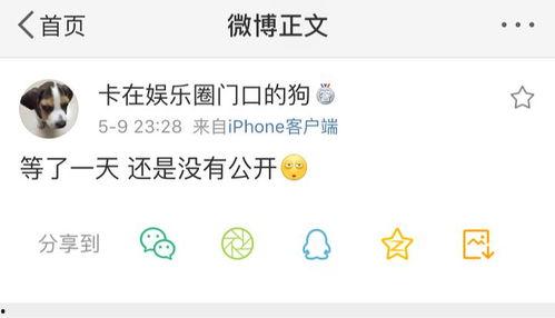 吃瓜爆料软件有哪些,一网打尽娱乐圈最新动态