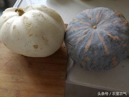 吃瓜回妈妈老家,跟随儿子足迹探访妈妈故乡