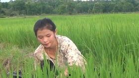 吃瓜回妈妈老家,跟随儿子足迹探访妈妈故乡