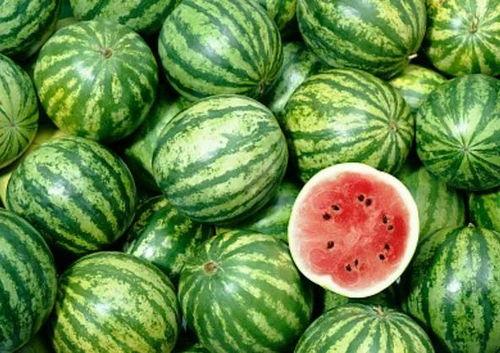 吃瓜色瓜,揭秘瓜类美食的诱惑与魅力