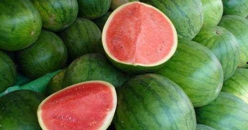 吃瓜色瓜,揭秘瓜类美食的诱惑与魅力