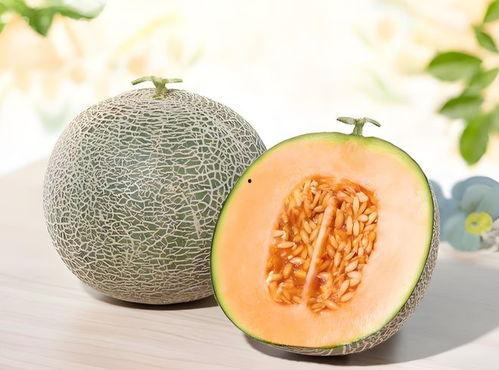 自己找瓜吃,揭秘“自己找瓜吃”的奇特现象