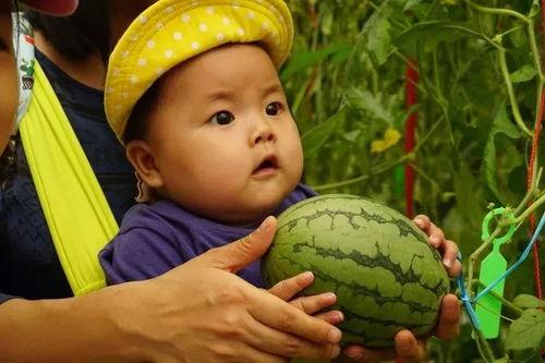 吃瓜群回家,揭秘网络社交背后的真实故事