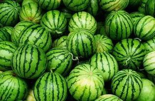 吃瓜群回家,揭秘网络社交背后的真实故事