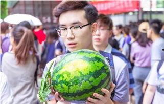 学校课堂吃瓜,揭秘课堂上的那些“秘密”趣事