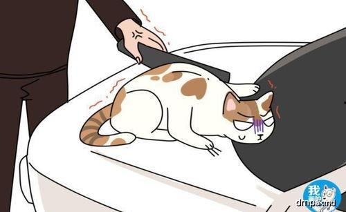 赖瓜吃就吐,揭秘奇异现象背后的科学奥秘