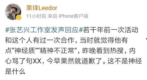 半夜没睡觉的群众吃瓜,揭秘网络热议背后的故事