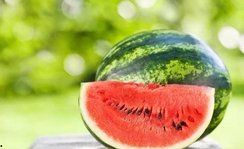 河北工院吃瓜,揭秘校园生活那些事儿