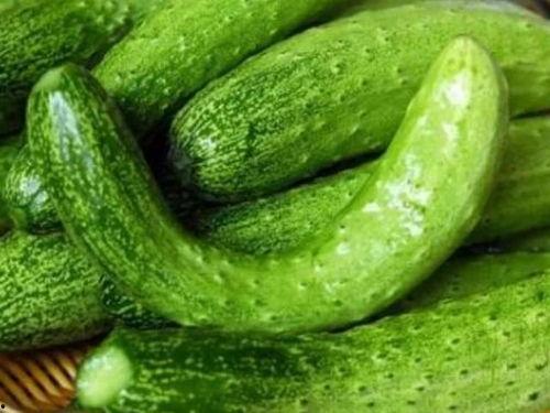 河北工院吃瓜,揭秘校园生活那些事儿