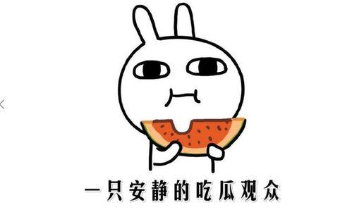 抖音的人吃瓜,人吃瓜背后的趣味与思考