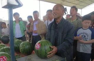 内黄吃瓜群众集合,揭秘乡村生活百态