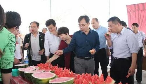 内黄吃瓜群众集合,揭秘乡村生活百态