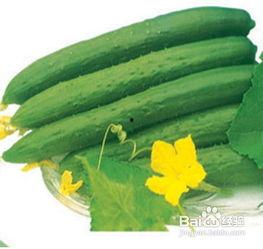 发热可以吃网纹瓜,夏日消暑、清热解热的天然良药