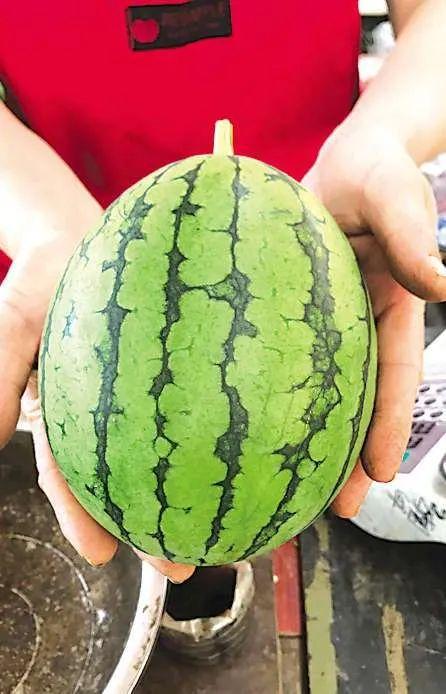 西昌最近吃瓜事件,揭秘背后真相与网络舆论风暴