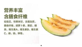 哈密瓜被哈密吃,从哈密瓜到哈密美食之旅