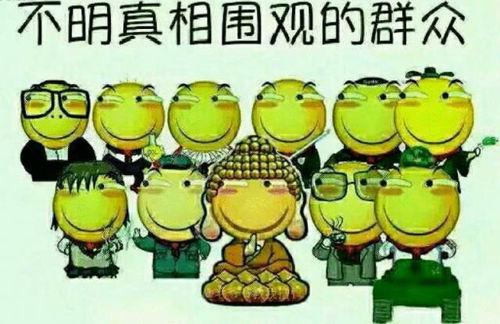 吃瓜群众慢慢品瓜的句子,品味人生百态