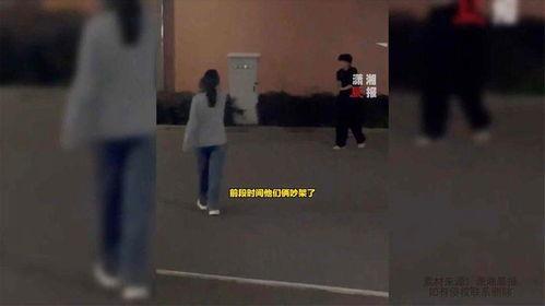 吃瓜最新事件舍友,吃瓜事件背后的真相与反思”