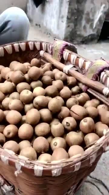 野生瓜可以直接吃吗,野生瓜类是否可直接食用揭秘