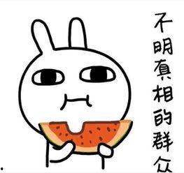 使劲吃瓜文案句子图片