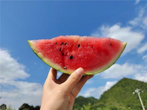 声音说的是吃瓜,揭秘网络热词“吃瓜”背后的文化现象